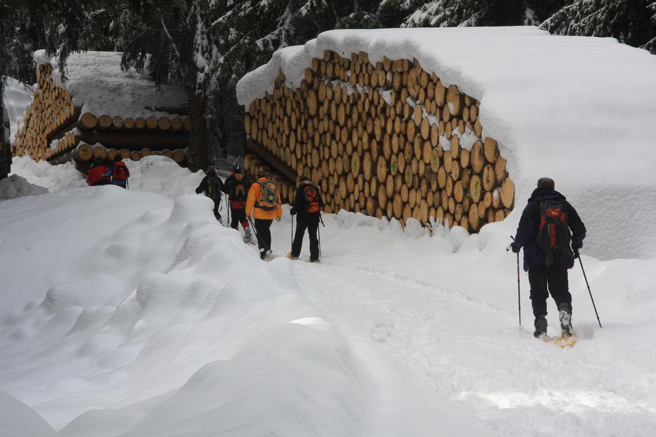 Gasthof Edelweiss Tires Esterno foto